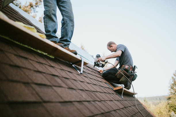 Best Roof Gutter Cleaning  in Anchorage, KY